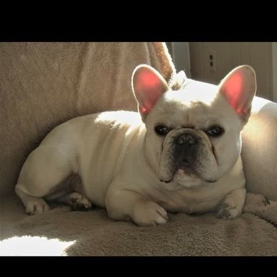 PapiChr29094692's profile picture. 