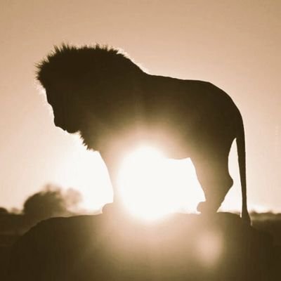 ruiz_carlosa's profile picture. Democratico en el Sur y Republicano en USA. Anticomunista. No existe un país sin empresas privadas,  ni con esclavitud. Dentro de ti esta la respuesta.