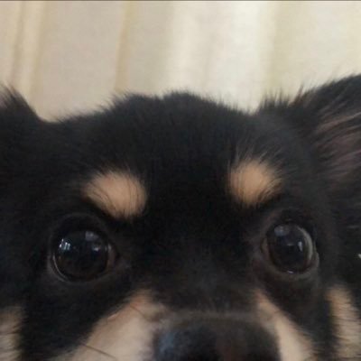 Ln3MyosNrU4Glek's profile picture. 18さい 低浮上