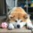 tomozunaのアイコン