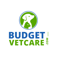 Budgetvetcare(@Budgetvetcare) 's Twitter Profile Photo