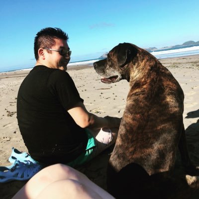 yasu_nz's profile picture. 