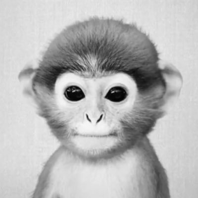 CCNMegVh6on4Fy2's profile picture. neviem