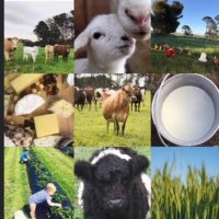 Protect Australia’s FOOD and FIBRE Security (@protectozfood) 's Twitter Profile Photo Protect Australia’s FOOD and FIBRE Security (@protectozfood) 's Twitter Profile Photo