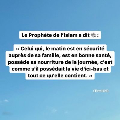 ilona_dmls's profile picture. 