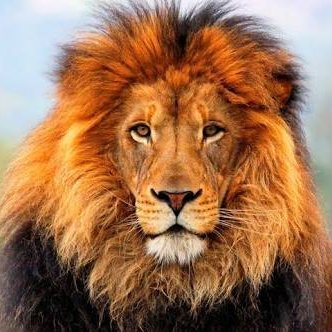 Jawaghar1's profile picture. 