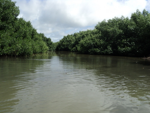 gransaanapv's profile picture. AMBIENTALISTA  Y REVOLUCIONARIO