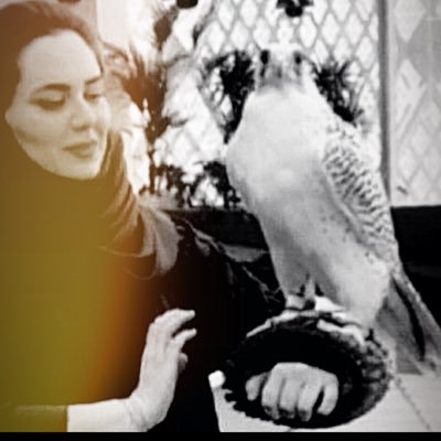 BassmaAlB's profile picture. International Relations•Certified in Royal Protocol & PR Diplomacy •Aesthete•Pianiste•Photographer•Music Producer