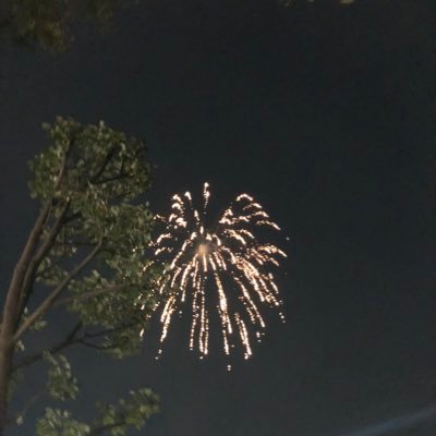 PzTIiYvc9Dzpkn3's profile picture. 