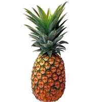 nappuru1's profile picture. 