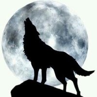 Berdan (@kutupays17) 's Twitter Profile Photo