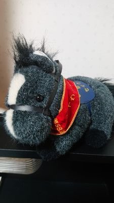 かつてステゴと呼ばれた馬。こっち見んな。って言ってんだろ。 呪術廻戦/マスターキートン/ウマ娘/No football No life/Vissel Kobe/フォローリクエスト承認は限定してます。あしからず。