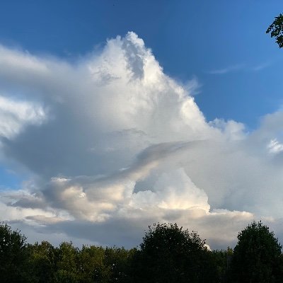 jillgbrady's profile picture. 