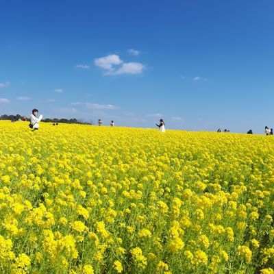 みやさんのプロフィール画像