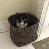 Julia G (@goldsmith_julia) 's Twitter Profile