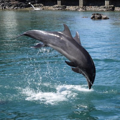 FMuTnZCoSZd2U6i's profile picture. 自己研鑽。興味あるもの、勉強等を呟きます。 現在勉強中→公害防止管理者(水質1種)