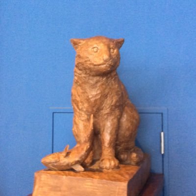 hsrbkafk's profile picture. フォロバ遅れます。フォローされてない人固ツイにリプお願いします🙏                        目標2000人！！