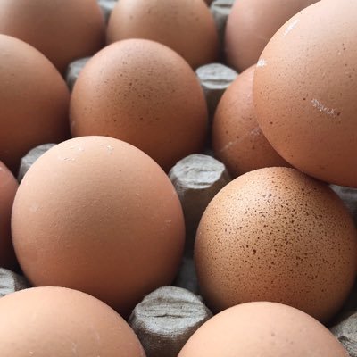 PaulAsa99735318's profile picture. Authentic egg transfer