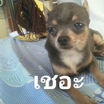 Dee-ra-RINさんのプロフィール画像