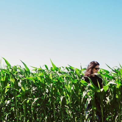 Agronomy Extension Specialist - Special Crops for Manitoba Crop Alliance Inc. Tweets are my own. morgan@mbcropalliance.ca