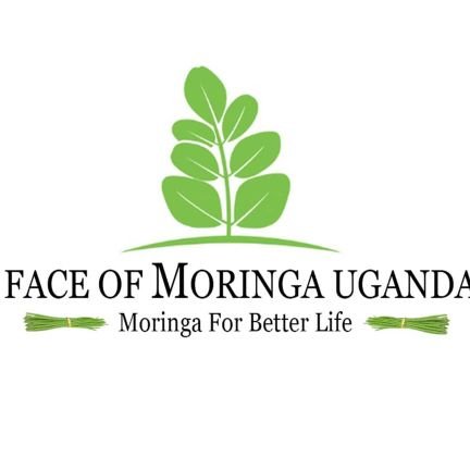 we buy and sell Moringa health and beauty products such as Moringa seeds, powder oil and tea.  We are best in Uganda you can what's up on +256 704 493 393