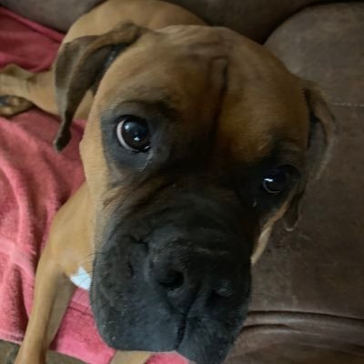 KrisRow4's profile picture. 