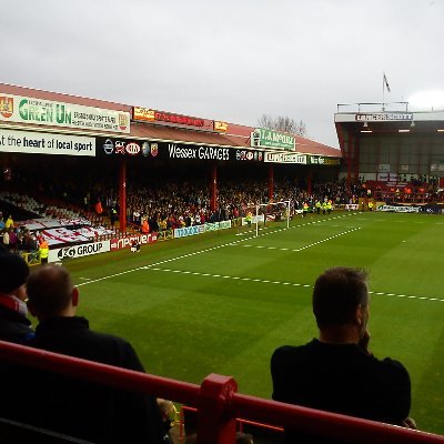 Lymebayrobin's profile picture. Bristol City FC
Somerset CCC