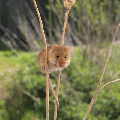 LoanchargeJ's profile picture. Loan Charge victim