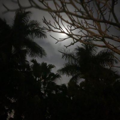 chiisaimiss's profile picture. DC girl in a Miami world. Love Horror Films and Reality Shows so same difference. HTTR4LIFE!🏈