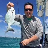 paul capelli (@paulcapelli) 's Twitter Profile