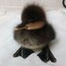 il brutto anatroccolo (@dolcemare123) Twitter profile photo il brutto anatroccolo (@dolcemare123) Twitter profile photo