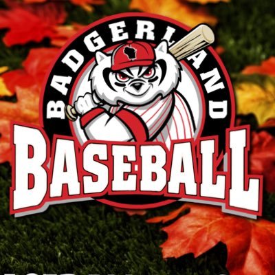 BadgerlandBall Profile Picture