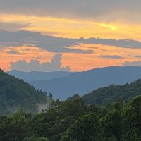 We The People (@hihojimjim) 's Twitter Profile