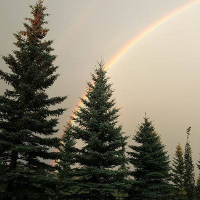 jjcccaa's profile picture. 