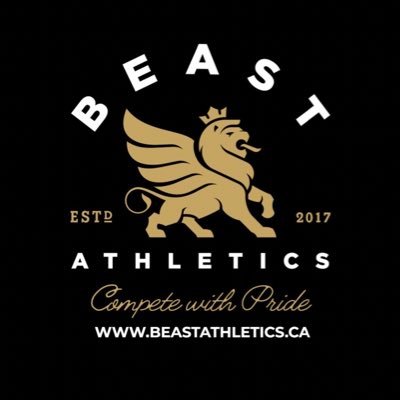 Beast Athletics in Toronto strives to be the most innovative athletic club in North America with an emphasis on hockey and lacrosse.