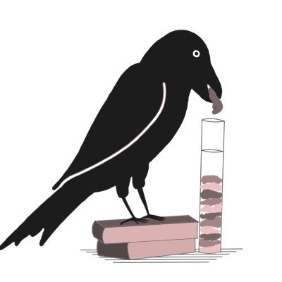 Ravenmaths Profile