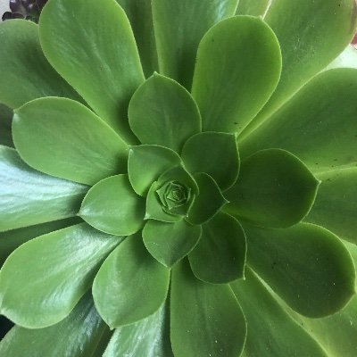 FromAperson's profile picture. Maria: Opposite of a Karen