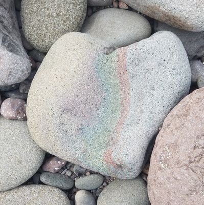 LennonRoyal's profile picture. Any pronouns. Exhausted.
🎨🖌️🌈🕷️🐝🍓🍄🏕️🐈🐈