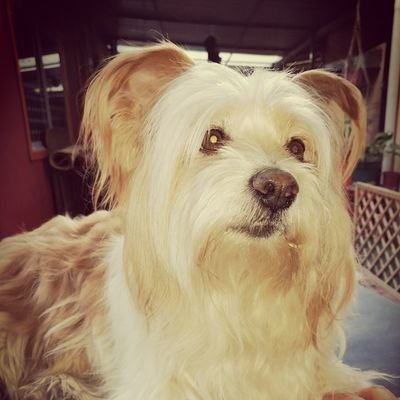 Anglica70091807's profile picture. 