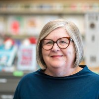 Rebecca Luce-Kapler (@rebecca2rowe) 's Twitter Profile Photo Rebecca Luce-Kapler (@rebecca2rowe) 's Twitter Profile Photo