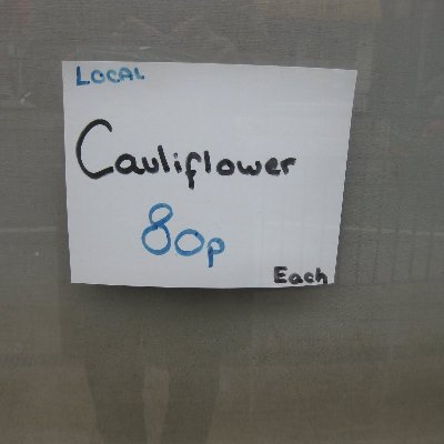 PinkNereid's profile picture. you can kill a Twitter handle, but you can't kill an idea.