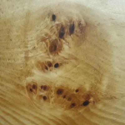 davidcrossjr's profile picture. just a guy.