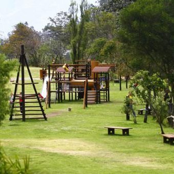 molis43876637's profile picture. 