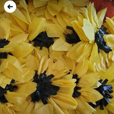 howlandsoccer07's profile picture. 