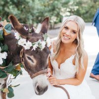 Natalie Abbott (@nataliekabbott) 's Twitter Profile Photo Natalie Abbott (@nataliekabbott) 's Twitter Profile Photo