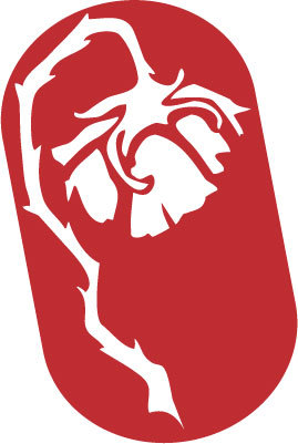 AutoSnowCo's profile picture. Snowboarding Saves Lives! Tweeting by founder @brentonwoo