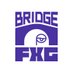 FXG bridge (@FXGbridge) Twitter profile photo