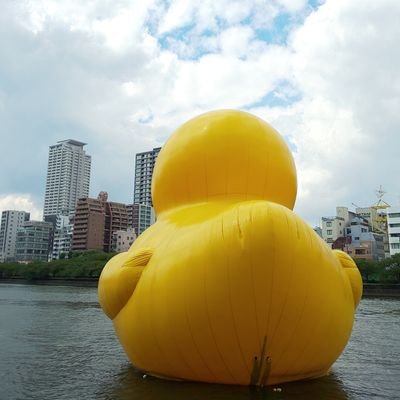 baco1315's profile picture. はじめまして、bacoです。ちえさんとゆりかちゃんを中心にまわっている日々でございます。ちえさん、ゆりかちゃんLoverな方々、どうぞよろしくお願いします。