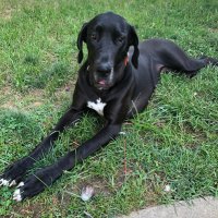 laura j schuster (@ljschu1997_j) 's Twitter Profile