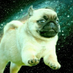 João Paulo (@joaumn_) Twitter profile photo João Paulo (@joaumn_) Twitter profile photo
